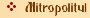 Mitropolitul
