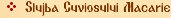 Slujba Cuv. Macarie